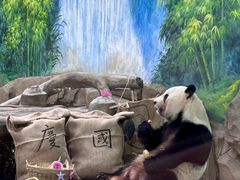 -灵玲国际马戏城