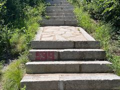 -金龙寺国家森林公园