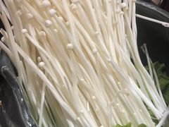 -奈雪的茶(新天地广场PRO店)