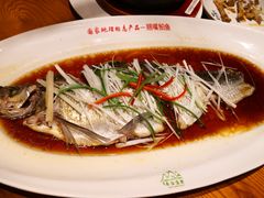 -丹江渔村(望京店)