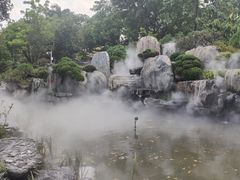 -东莞植物园