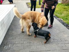 -火车头法国西餐厅