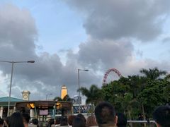 -Big Bus Tours 敞篷观光巴士