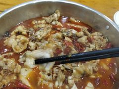 -专业跳跳蛙·彭彭老铺(步行街店)