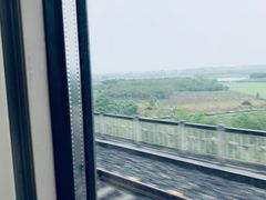 -麦当劳(世贸店)