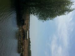 -白渔泡湿地公园