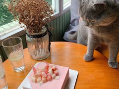 -壹点壹客·生日蛋糕(南山店)