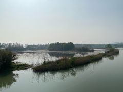 -贡湖湾湿地公园