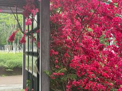 -宜家家居(高新商场店)