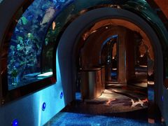 -迪拜帆船酒店海底餐厅