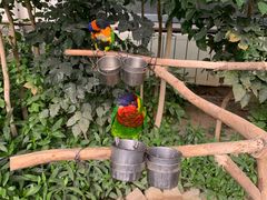 -南宫五洲植物乐园