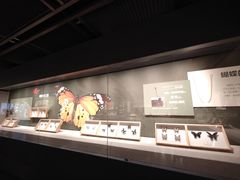 -四川宋瓷博物馆