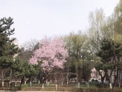 -辽宁省实验中学