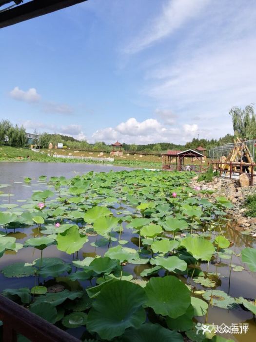 天怡温泉-图片-长春周边游-大众点评网