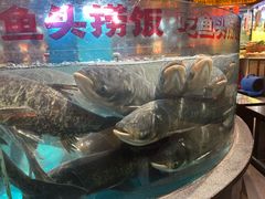 -魏铭鱼头捞饭(晋阳路店)