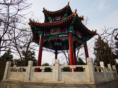 -滨河世纪广场公园