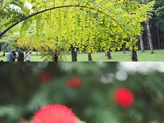 -中国科学院西双版纳热带植物园