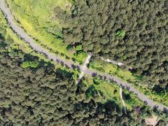 -铁山坪森林公园