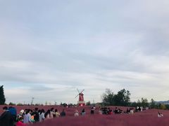 -羊亭河湿地公园