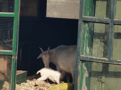 -清风小镇闯关东影视基地