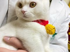 -安安宠医·安宠宠物医院