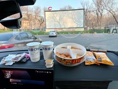 -枫花园汽车电影院(朝阳公园店)