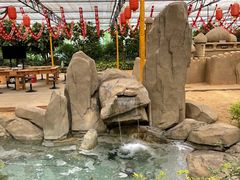 -南宫五洲植物乐园