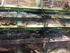 -永辉超市(嘉定宝龙广场店)