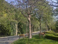 -大堂吧·下午茶·特调鸡尾酒(大连一方城堡豪华精选酒店)