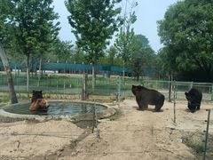 -秦皇岛野生动物园