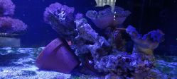 -趣陶陶艺手工坊(新世界百货重庆店)
