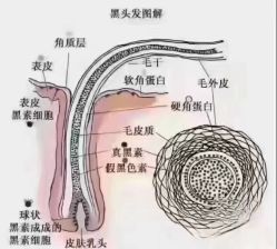 -丝域养发馆