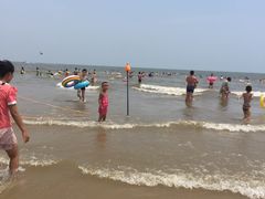 -日照海滨国家森林公园