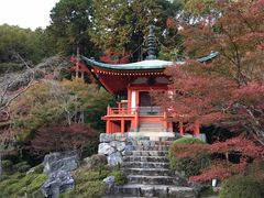 -醍醐寺