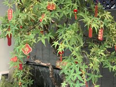 -大榕树下顺德菜(融创茂店)