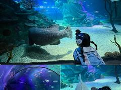 -沈阳海洋探索中心