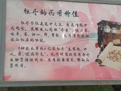 -仁和公园(顺义区)