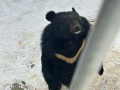 -青峰峡国家森林公园