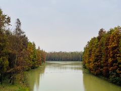 -上海海湾国家森林公园