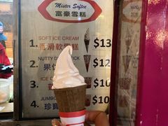 -富豪雪糕车流动点(尖沙咀店)
