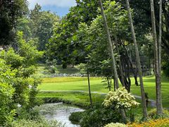 -四季酒店下午茶