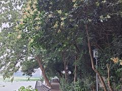 -月湖风景区