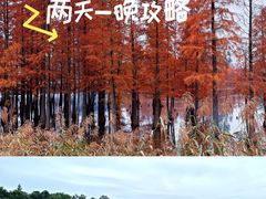 -白鹭湾湿地公园