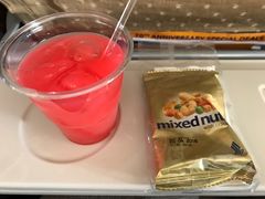 -新加坡航空公司(ION)