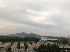 -湖影中餐厅·南京金茂威斯汀大酒店