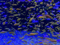 -成都浩海立方海洋公园