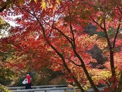 -南山风景名胜区