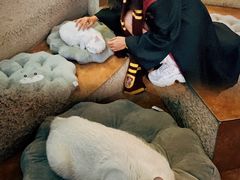 -逃脱反斗城沉浸剧情密室(北京路店)