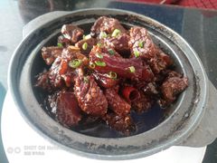 -云中小雅