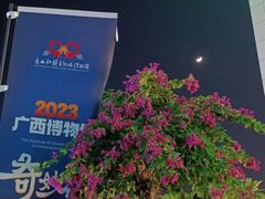 -广西壮族自治区博物馆